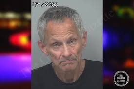 Martie Runyan — Gwinnett County Jail Bookings