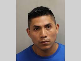 LCSO Daily Booking Report