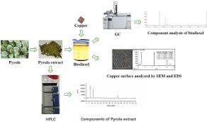 Ming zhao statistics played in yanbian. Effect Of Pyrola Extract On The Stability Of Palm Biodiesel Upon Exposure To Copper Renewable Energy X Mol