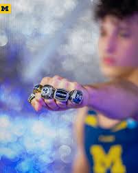 Michigan Men's Gymnastics