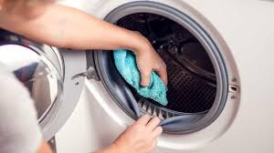 A dishwasher is a handy piece of equipment to have in the kitchen as it makes cleaning up plates, utensils, and other essentials become more convenient to do. 4 Tricks To Clean Mold In Hard To Reach Places Fred S Appliance