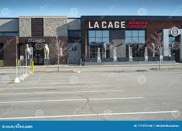 Dog Friendly Activities In Laval, Qc - Bringfido