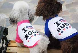 100 samyh populyarnyh klichek sobak v mire devochek i malchikov korotkie istorii dlinnoj taksy pet shirts dog clothes dog tshirt