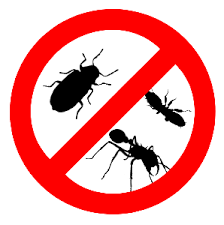 As san diego home pest control experts, we can help remove these unwanted intruders and help stop them from returning. Free Sample Pack Of Levitra Fast Levitra Superactive Colonialpestmanagement Online Pill Store Secure And Anonymous