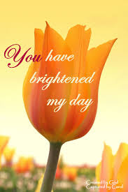 Tulip You Have Brightened My Day Good Morning Sunshine Tulips Day