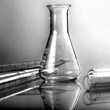 Image result for Orthosiphon schimperi