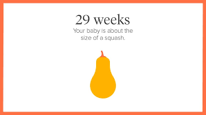 32 weeks in to year is we multiply 32 and 7 is equal to 224 or 7 months and 9 days. 29 Weeks Pregnant Symptoms Tips And More