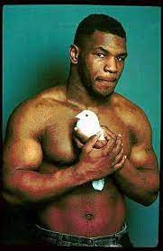 Watch @hotboxinpodcast follow @legendsonlyleague buy my merchandise account controlled by tyson's team miketyson.com. Mike Tyson Altezza Peso Fatti Interessanti E La Biografia Di Un Pugile