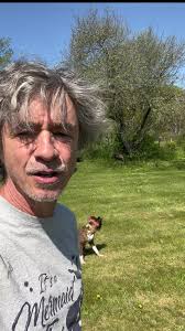 Dog training #dummylauncher #huntingdog #dogtraining #puppytraining  #obedience #boxerdog #petercainedogtraining