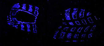Biologists use it in cellular assays to detect copper, iron, cyanides, as well as specific proteins via western blotting. Bvda Luminol
