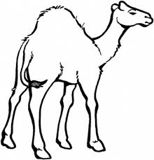 Click on the image you want to color, this will open page displaying large picture you selected. Pin On Midnight At The Oasis