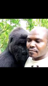 These go so hard. Look at themmmmmm