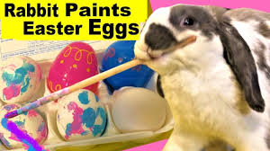 Real Bunny Decorates His Own Easter Eggs Happy Easter From Bini The Bunny Cute Baby Bunnies Rabbit Painting Easter Eggs
