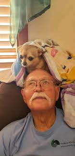 Al & Deb's Doggie Day Care