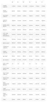 40 Efficient Specialized Allez Steel Geometry Chart