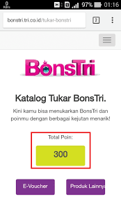 Jumlah poin yang didapat berdasarkan level pengguna poin bonstri. Cara Menggunakan Poin Bonstri Di Kartu Tri