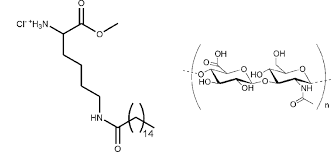 17 de julio de 2016. Chemical Structures Of The Surfactant Mkm Perez Et Al 2009 Left Download Scientific Diagram