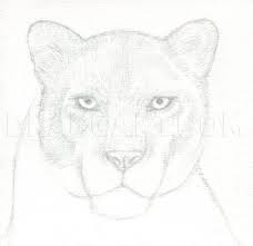 But his thick eyebrows and pointed military mustache were as black as the night from which rainsford had come. How To Draw A Black Panther Realistic Panther Step By Step Drawing Guide By Finalprodigy Dragoart Com