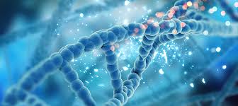 Plant cell biotechnology and molecular biology. Cell Molecular And Developmental Biology Nus Biological Sciences
