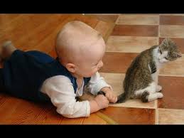 As of now i'm 24 and that i could particularly have a doggy, a kitten greater so. Kittens And Babies Playing Together Compilation Youtube