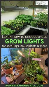 We did not find results for: Using Grow Lights For Seedlings Or Indoor Plants Homestead And Chill In 2021 Growing Plants Indoors Grow Lights For Plants Indoor Grow Lights
