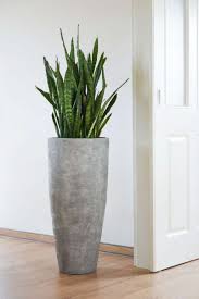 Pflanzgefass Blumentopf Fiberglas City Betonausfuhrung Grau Pflanzkubel Bepflanzung Blumenkubel Fiberglas