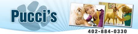 Cash, credit, and debit accepted. Dog Grooming Omaha Ne Pucci S