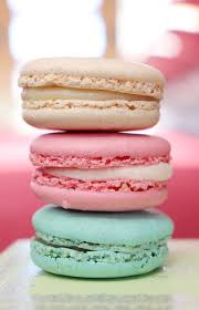 Easy Care Textured Shirt Macaron Flavors Just Desserts Macaroons