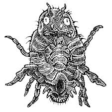 Flea Ish Sketch Book Gargoyles Fleas