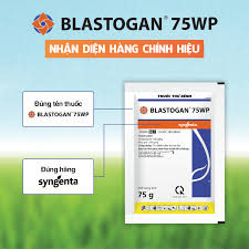 Blastogan 75WP