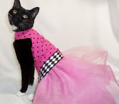 Just For Cats Coolcats Pink And Black Polkadot Couture Tutu Dress For Cat Formal Wear Cat Dresses Pet Costumes Easter Pets