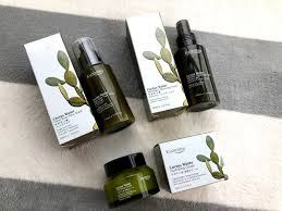 Therefore, those with dry, damaged and sensitive skin types can really benefit from using this product. Kyomitsu Review Cactus Water Skin Care Walkthrough