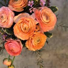 We did not find results for: Flowers By Nature Added A New Photo Flowers By Nature