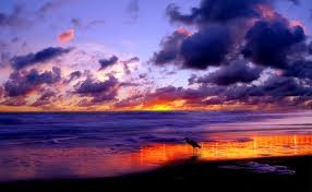 Check spelling or type a new query. Sunset Beach Wallpaper For Desktop Novocom Top