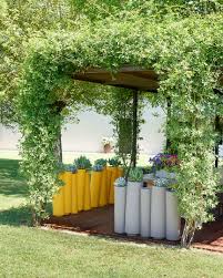 Most species of bamboo can be grown in pots or containers. Bamboo Slide Design