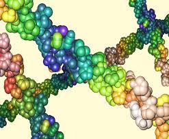 Hydrolyzed Collagen: Benefits and Side Effects | Apostrophe