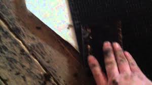 We did not find results for: How To Patch Cast Iron Drain Line Youtube