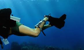 Top 10 Best Dive Knives Of 2021 The Adventure Junkies