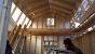 Plywood Shed Doors