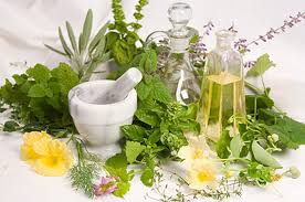 « qinghao » en chinois. 10 Produits Anti Vieillissement Naturels De La Medecine Traditionnelle Chinoise Chine Informations