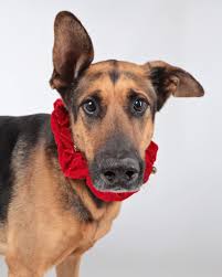 These are just a few good reasons...