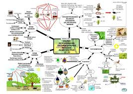 Nota ringkas tingkatan 3 ini merupakan koleksi nota yang boleh dijadikan sebagai sumber rujukan untuk para guru dan pelajar. Sains Peta Minda Tingkatan 2