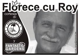 Dos Arubiano a keda asesina na Punto Fijo