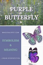 Purple Butterfly Symbolism And Meaning Dream Interpretation Butterfly Symbolism Purple Butterfly Butterfly Color Meaning