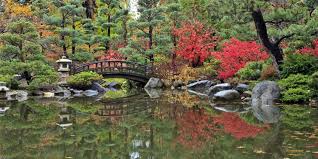 While zen gardens are a type of japanese garden, not all japanese gardens are zen gardens. Top 10 Wonderful Japanese Gardens Places To See In Your Lifetime