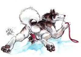 See more ideas about furry art, anthro furry, furry. Blotch Furry Pinterest Hd Wallpaper Furry Anthro Artic Wolf Cyan Stars Snow Blue Wallpaper Flare Blotch Was Born In The Rainforest Like All The Other Rainwings Desirappar