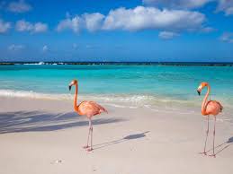 Cosa rende aruba la one happy island dei caraibi? Come Si Vive Ad Aruba La Migliore Isola Dei Caraibi