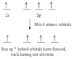 Hybridization