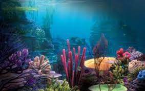 Tapi jikalau kamu pecinta game, kamu bisa mencari wallpaper dari game yang kamu suka. 27 Gambar Kartun Pemandangan Dalam Laut Kumpulan Kartun Hd