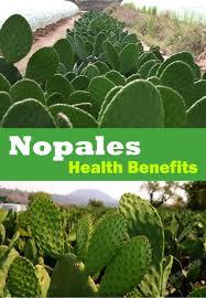 Some preliminary evidence shows that prickly pear cactus can decrease blood sugar. Health Benefits Of Nopales Cactus Benefits Health Benefits Natural Health Care